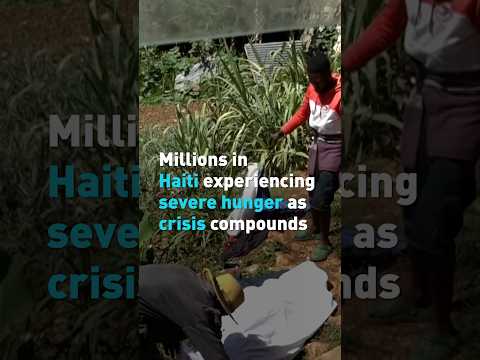 Millions in Haiti experiencing severe hunger as crisis compounds