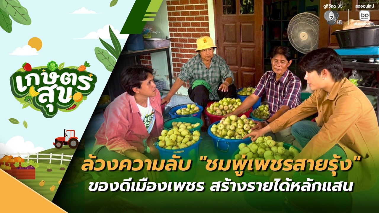 เกษตรสุข EP.21 | ล้วงความลับ "ชมพู่เพชรสายรุ้ง" ของดีเม?