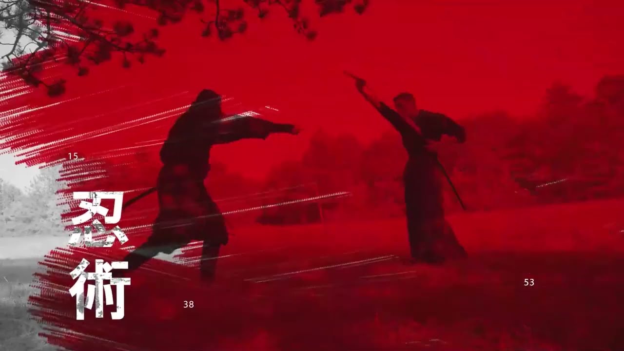 YariNoHanzo presentation video