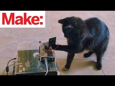 Weekend Project: Jetson TX1 Cat Spotter