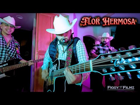 Hermanos Figueroa - Flor Hermosa (En Vivo 2024)