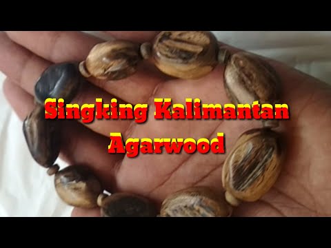 Singking Kalimantan Agarwood Natural Style Bracelet