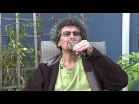 Ginger Mead Booz How Tooz Trailer