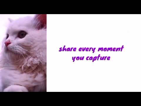 Voomichat India’s coolest social app! l Get connected with friends and neighbours Download now!