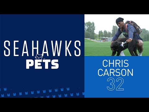Chris Carson's Cane Corso 'Sosa' | Seahawks Pets
