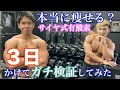 【検証】絶対に痩せるサイヤ式有酸素。実際痩せるか3日かけてガチ検証してみた