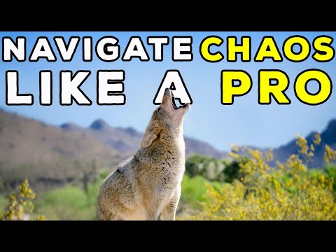 Can the Ute Tribes Coyotes Teach Us to Navigating Life’s Chaos