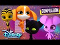 Miraculous Kwamis Compilation Miraculous Ladybug Disneychannel X Miraculous