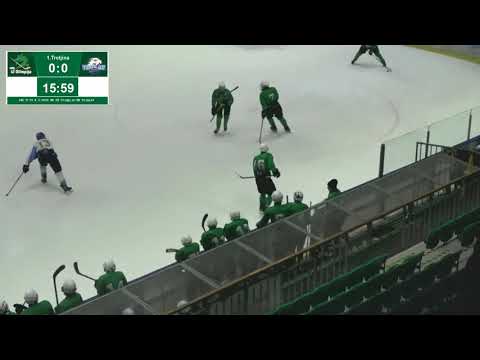 U-19 DP 8.3.2020 HK SŽ Olimpija - HK Triglav 1:3, video posnetek celotne tekme