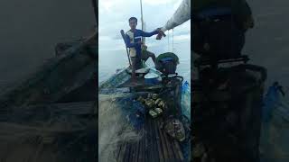 Download lagu pemasangan jaring udang mp3