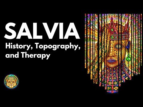 SALVIA: History, Topography, and Therapy | Christopher Solomon ~ ATTMind 95