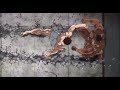 Bloodhound Q50 Splash Bros Slowed Reverb