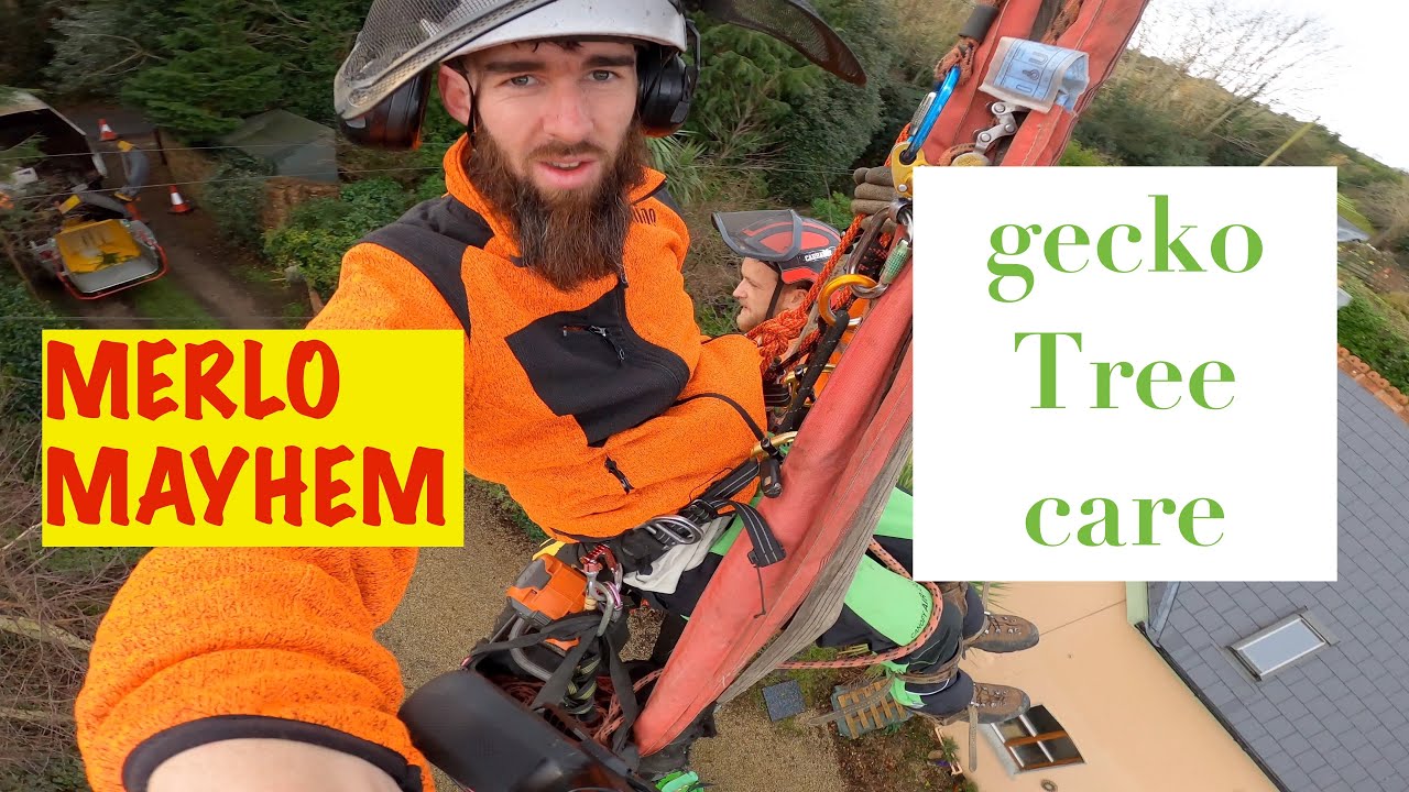 MERLO Work with GECKO TREE CARE!