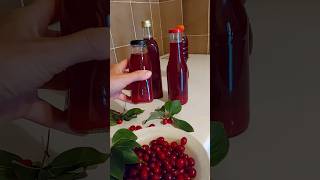 Make Your Own Dogwood Juice At Home! #dogwood #juice #healthy #homemadejuice