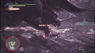 ラストのみ  29分08秒　ベヒソロ　太刀　モンスターハンターワールド