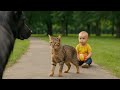 CATS And DOGS That SAVED HUMAN LIVES