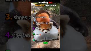 Download lagu Peringkat Momen Cuaca Panas #cuacapanas #lucu mp3 Download lagu Peringkat Momen Cuaca Panas #cuacapanas #lucu mp3