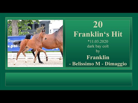 20 Franklin's Hit by Franklin - Belissimo M - Dimaggio