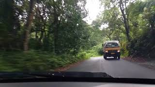 preview picture of video 'The Journey Through Wayanad Peria Forest'
