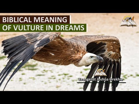 Biblical Meaning of  VULTURES in Dream - Seeing a Vulture Spiritual Meaning