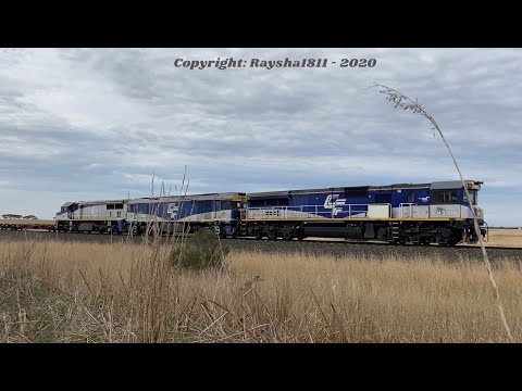 9721V - CM3306-GL107-VL351 (SCT) Wingeel - Australian Trains by Raysha1811