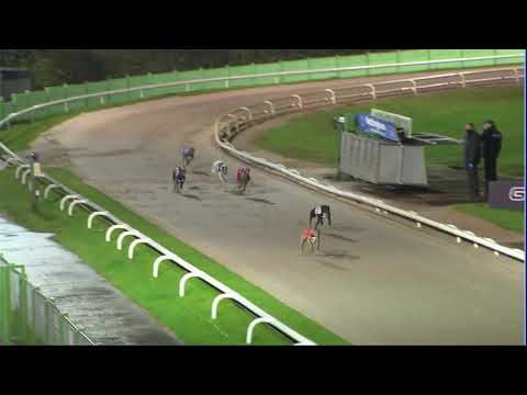 2020 BGBF STAKES - HEAT 6 - T5 ACOMB LILLIAN