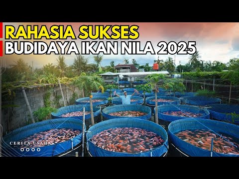 HOW TO CULTIVATE TILE FISH USING THE BIOFLOC SYSTEM: FEED-EFFICIENT, QUICK HARVEST, AND MULTIPLE ...