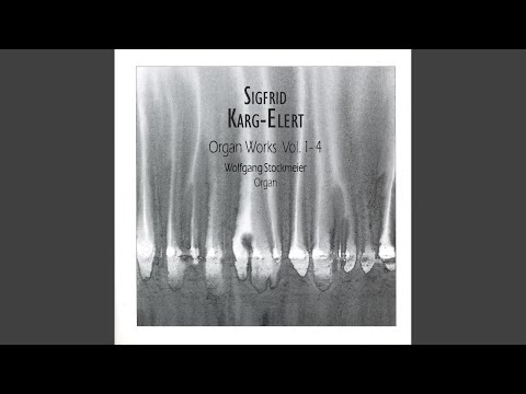 66 Choral-Improvisationen, Op. 65, Book 6: No. 49, Meinem Jesum lass ich nicht