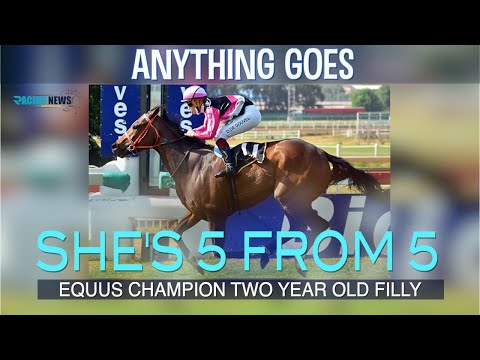 ANYTHING GOES IS 5 OUT OF 5 !