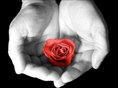 Krisko FT  M W P   Ne sum za teb !       ;