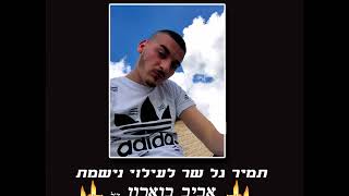 אביב שלי