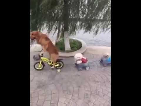 24 December 2017(45)