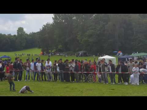 Wali parwani Hamburg Concert 2016