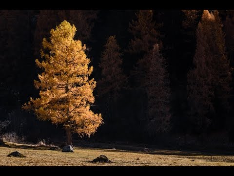 Fotografieren im Herbst: Letzte Chance!