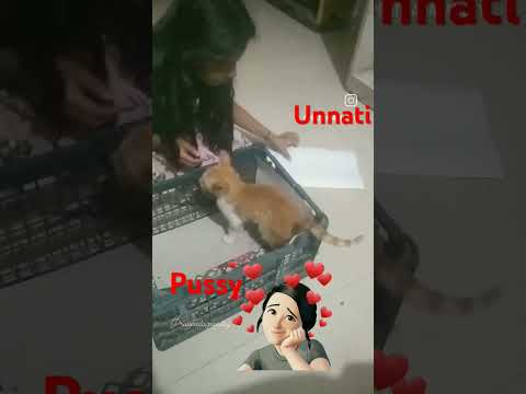 unnati and new cat name pussy 😺😺❤️