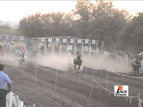 EL LOCO PANGARE 23 3 14