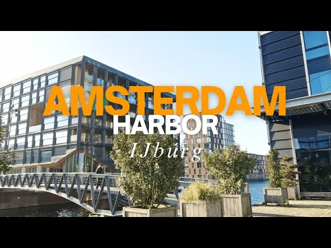 Amsterdam Harbor in IJburg – A Walking Tour 🚶‍♂️🌊