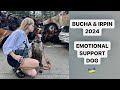 Bucha And Irpin 2024 Emotional Support Dog S Journey To Ukraine