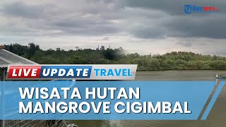 Sensasi Menikmati Kuliner dan Susur Sungai di Wisata Hutan Mangrove Cigimbal Park Cilacap