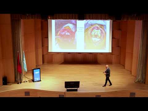 Rolf Walter Musculoskeletal Pain & PNEI Interactions – 5th IPCA 2025