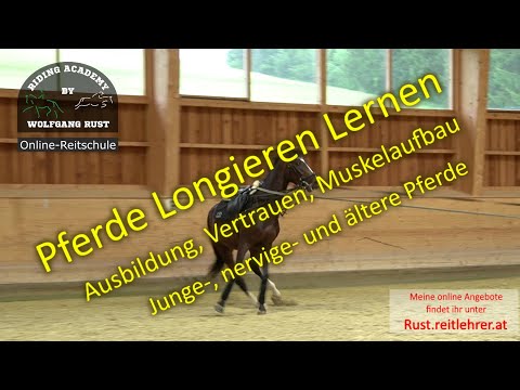 Pferde an der Longe arbeiten lernen! So kannst du Pferde richtig longieren. Ausbildung/Muskelaufbau