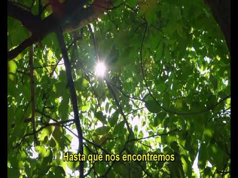 Daughtry Death of me Sub Español