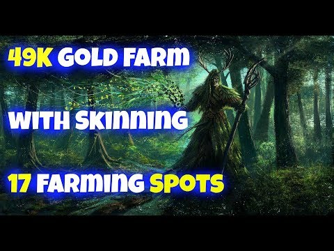 49K Gold with Skinning - 17 Insane Farming Spots