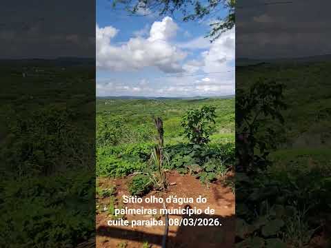 sítio olho d'água do palmeiras cuite paraiba.