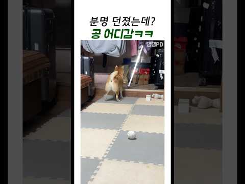 분명 던졌는데? 공 어디감ㅋㅋ