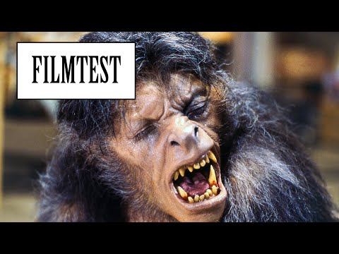 An American Werewolf in London (1981) | One of the best werewolf movies! | FILM TEST