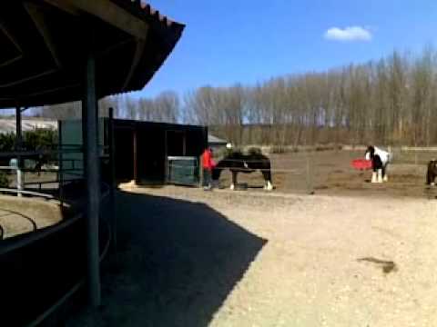 Genemuiden SC F1 - Urk F1 (06-04-2013)