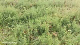 Download lagu Trending hdr video blue|| trending hdr video editing tutorial || trending HDR photo editing #a54f mp3 Download lagu Trending hdr video blue|| trending hdr video editing tutorial || trending HDR photo editing #a54f mp3