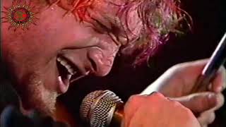 Alice in Chains - Love Hate Love (traduzione in italiano)
