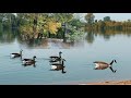Yeh Hum Aa Gaye Hain Kahan Veer Zaara Song Nature Version Yrfmusic Veer Zaara Nature